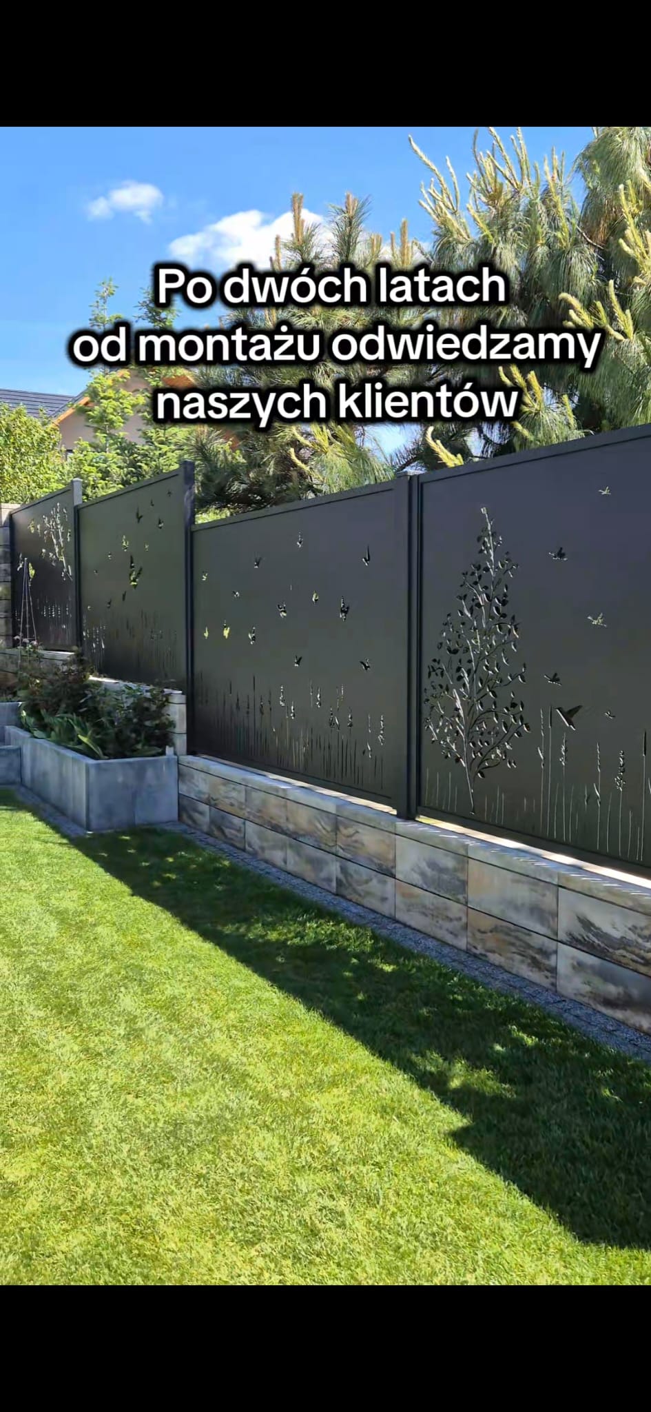 Odwiedziny